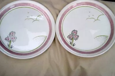 1950`s Barratts Staffordshire Ceramic Dinner Plates X 2 • £15