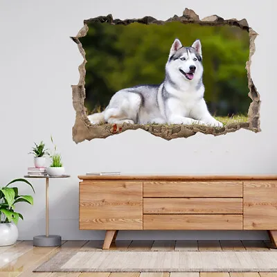 £39.99 • Buy Portrait Of Siberian Husky 3d Smashed View Wall Sticker Poster Decal A696