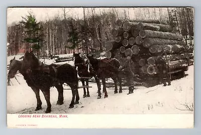 Brainerd MN-Minnesota Horse-drawn Logging Sled C1907 Vintage Postcard • $8.99