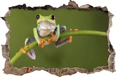 Tree Frog On Bamboo - 3D Look Breakthrough Wall Tattoo Sticker Sticker • £17.20