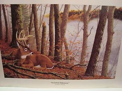 Robert Schmidt Whitetail Deer Print Secluded Hideaway Open Edition. • $8