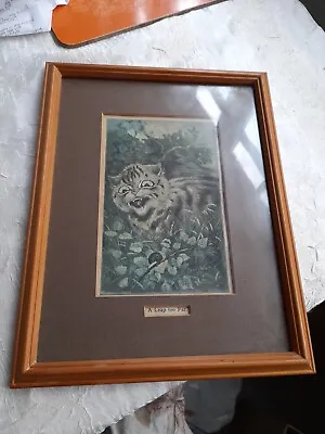  Picture By Louis Wain - Framed  Cat Print  A Leap Too Far  • £33