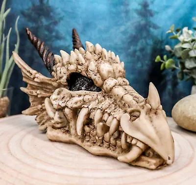 Ebros Jurassic Beowulf Elder Dragon Head Skull Realistic Fossil Statue 7.75  L • $24.99