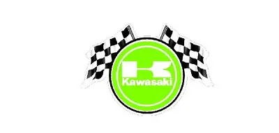 KAWASAKI  Racing CHEQUERED FLAGS Motorbike Bike Helmet Fairing Decals X2 • £5.49