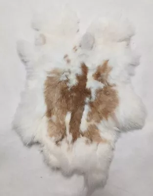 Real Rabbit Hide Multi Color.  Leather Craft Fur Pelt Animal Training Training • $8.99