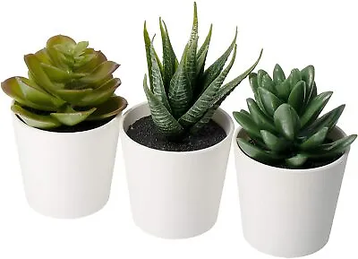 IKEA 203.953.31 FEJKA Mini Artificial Succulent Desk Plants In Pots 6 Centimetre • £9.99