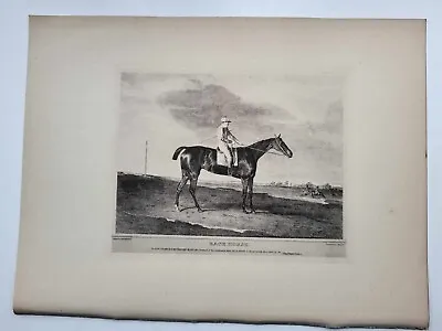 Vintage Antique Print 1887 Portraits Famous Racehorses Eleanor Foaled 1798 • £16