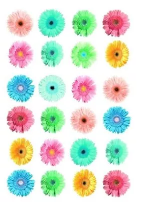 Pastel Mixed Gerbera Flower S Edible Cupcake Topper Decorations  Gm11 • £2.99