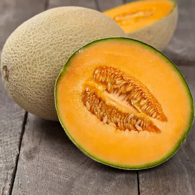 50 Iroquois Melon Seeds Non-gmo  Tracking On All Orders Over $16 • $2.19