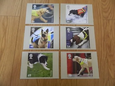 £2.25 • Buy 2008 WORKING DOGS PHQ CARD SET(No307) UNUSED - IN VERY GOOD CONDITION-SEE PHOTOS