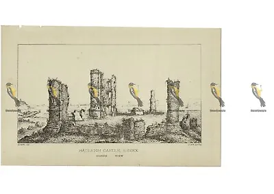 Hadleigh Castle Essex North View Book Illustration (Print) C1873 • £12.97