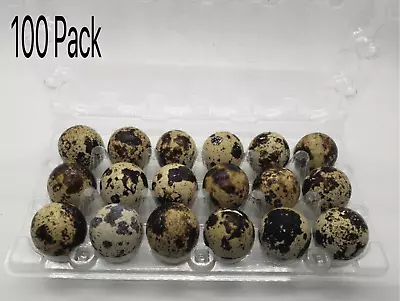 100 Pack Quail Jumbo Egg Cartons 18 Egg Cell Fast Free Shipping • $40.99