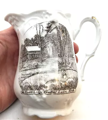 Fisk's Lodge Central Lake Mich. Mi. Historical Souvenir China Pitcher C. 1915 • $27.99