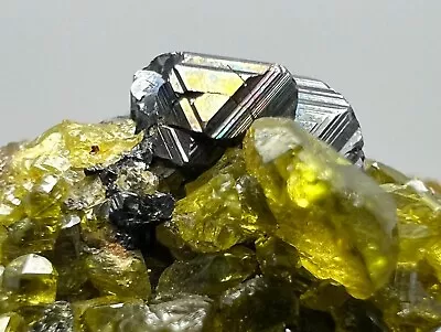 51 CT. Well Terminated Magnetite Crystals W/ Vesuvianite On Matrix  @ AFG • $14.49