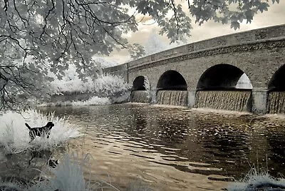 £295 • Buy Nikon D7000 720nm Infrared Converted Camera. 720nm Infrared Standard Infrared.