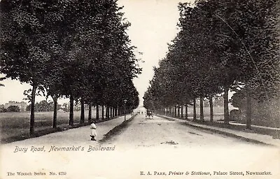 Suffolk/Cambridgeshire - NEWMARKET-BURY ROAD-Newmarket's Boulevard-PPC -p/u 1905 • £3