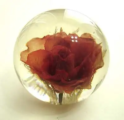 £29.80 • Buy Vintage HAFOD GRANGE Paperweight Red Rose Made In Great Britain