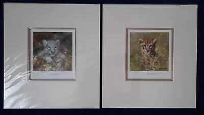 Snow Leopard Cub & Ocelot Cub By David Shepherd - Signed Limited Edition Print • £50
