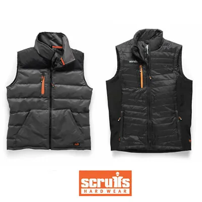 Scruffs Gilet - Trade Or Worker | Bodywarmer (S-XXL) Winter Work Wear • £35.95