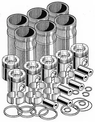 Crownless Inframe Engine Rebuild Kit For Cummins L10. PAI # L10127-001 In Frame • $1335