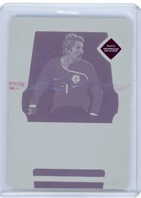 2022 Panini National Treasures FIFA Printing Plate #LS-VDS Edwin Van Der Sar 1/1 • $99.99