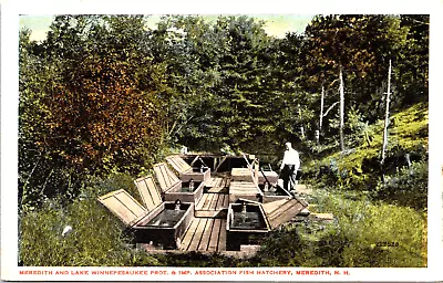 Meredith New Hampshire NH Lake Winnepesaukee Fish Hatchery Postcard • $4.75
