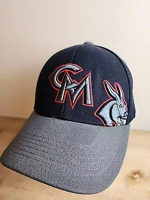 University Of Central Missouri Mules UCM Warrensburg Mascot Top Of The World Hat • $8.99