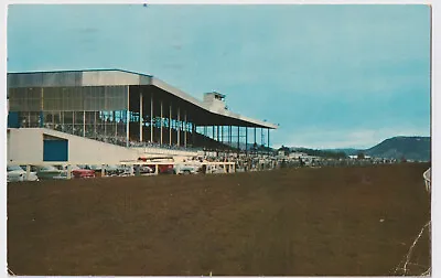 New Mexico Raton La Mesa Horse Racing Posted 1958 To S. Krismer Northside Ohio • $9.99