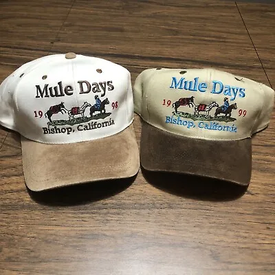 Vintage Mule Days Hat Cap 1998 1999 Adjustable Bishop CA Snapback Suede Bill • $29.25