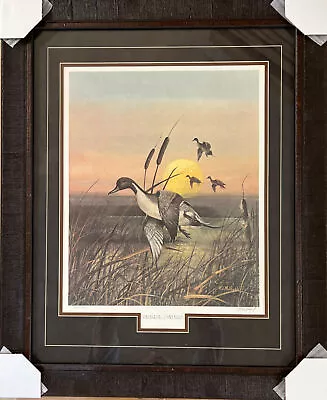 R.J. Mcdonald Prairie Pintails Duck Art Print Signed-Framed 26.5 X 32.5H • $350