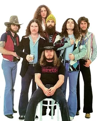 1970s Lynyrd Skynyrd Ronnie Van Zandt Live Concerts Rock 4 DVDs • $14.99