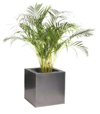 £35 • Buy 40cm Zinc Galvanised Mocha Silver Cube Planter Plant Pot