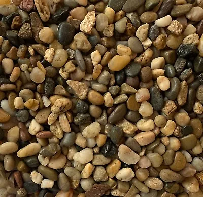 £9.99 • Buy Natural Polished Small River Pebbles Stones Rocks Mixed Colour Water Plant Decor