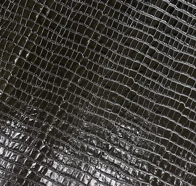 30 By 20cm Croc Print GLOSS BLACK Leather OffCuts Crocodile Off Cut Remnants RAT • $14.99