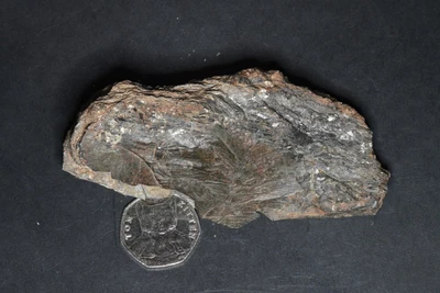 £8.99 • Buy Mineral Specimen Large Heavy Wolframite Crystals In Mica From Cumbria England