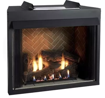 VFP42FB0F Empire Breckenridge Premium 42  Vent Free Firebox Flush Front • $919