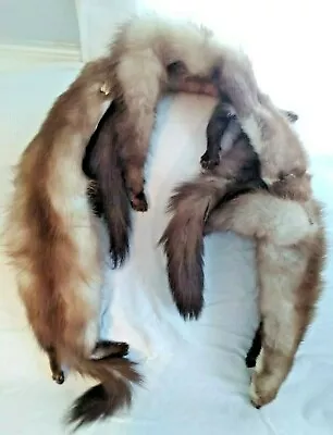 Vtg 60s Brown/Blonde Pine Marten Fox Fur Full Body Stole/Wrap/Collar - SEXY! • $100