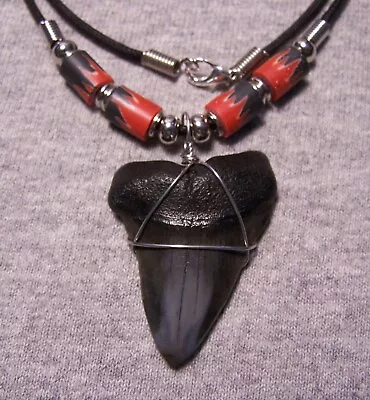 Mako Shark Tooth 1 3/4  Teeth Necklace Fossil Jaw Megalodon Scuba Dive Sharks • $20