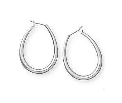 Premier Designs Jewelry Companions Small Hoop Earrings In Matte Silver • $9.99