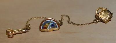 Vintage 1950s Masonic Rainbow Girls Pins Pot Of Gold And Gavel • $75