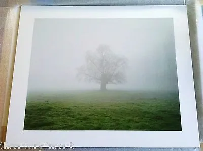 $3300 • Buy ALEC SOTH 'Fontainebleau, France, 2007' SIGNED Limited Edition Color Photograph