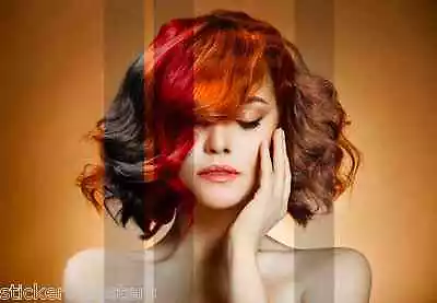 £3.49 • Buy Hair Hairdressing Hairstyle Health Beauty Poster Print Art Choice Of Sizes Salon