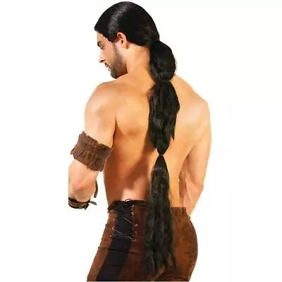 Medieval Fantasy Men's Warrior Black Costume Wig • $25.99