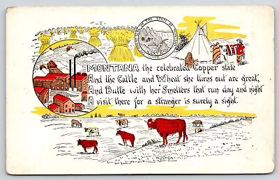 Montana~Copper Smelters~Indian Teepee~Wheat~Lawrence & Gorham State Seal~1907 • $12