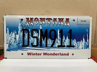 Winter Wonderland Montana Snowmobilers Association License Plate • $11