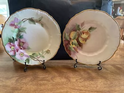 Two C.T. Germany Porcelain Plates Gold Rimmed Rose & Fruit 7.5” • $20.99