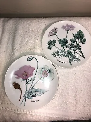 7.5  Salad Plates Coriander Seed & Poppy Seed Set Of 2 Vtg Horchow Collection • $12.99