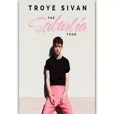 58114 Troye Sivan Suburbia Tour Pop Music Cover Wall Decor Print Poster • $14.95