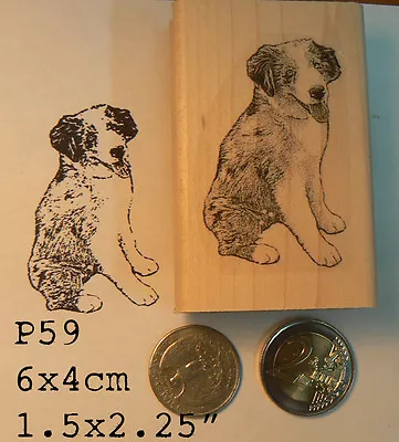 P59 Australian Shepherd Dog Rubber Stamp WM • $11