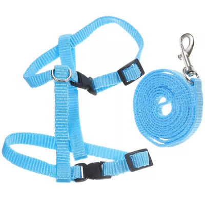  Rabbit Harness Leash For Cats Bunny P_b0716ppxqb And I-shaped • $7.88